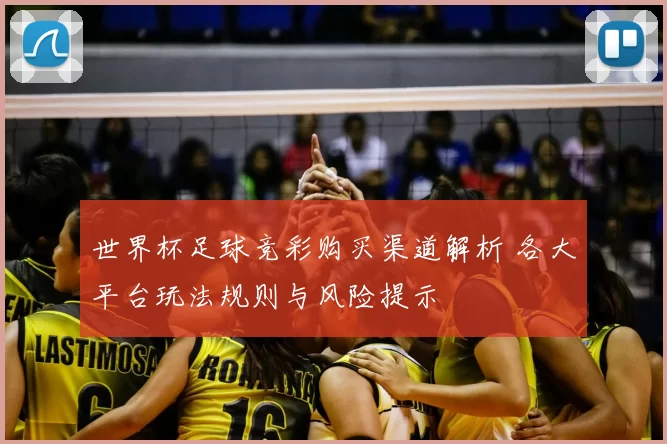 世界杯足球竞彩购买渠道解析 各大平台玩法规则与风险提示