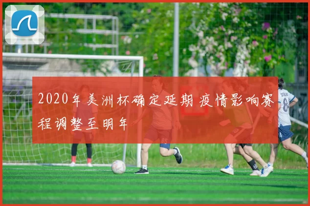 2020年美洲杯确定延期 疫情影响赛程调整至明年