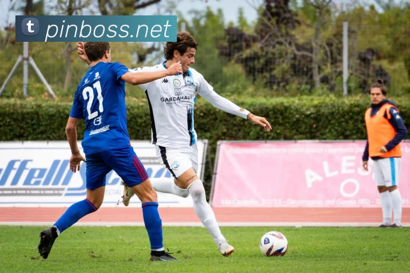 pg电子平台网站 - pg不凡成就非凡官网平台生态图